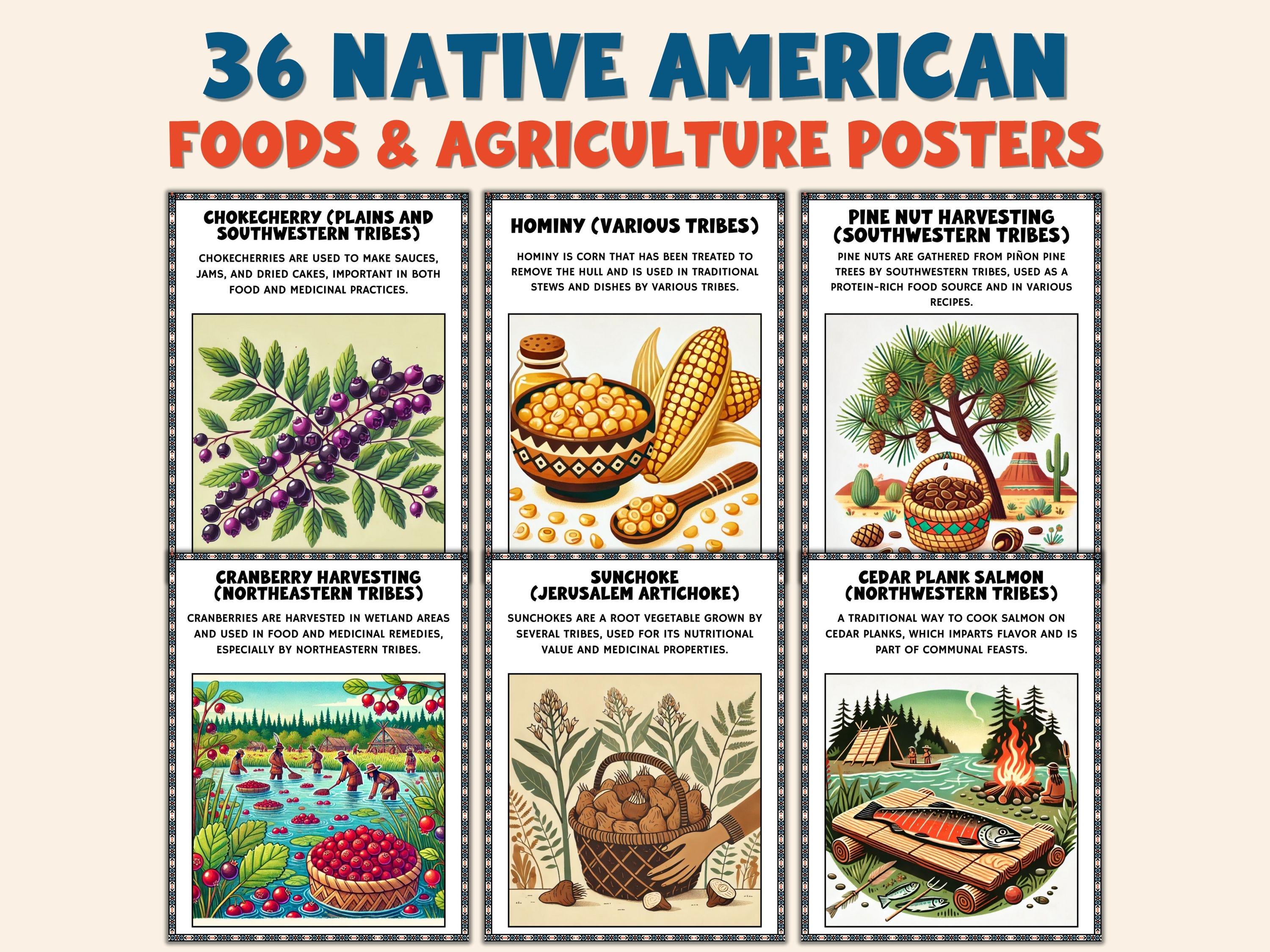 36 Native American Foods & Agriculture Posters | Indigenous Crops ...