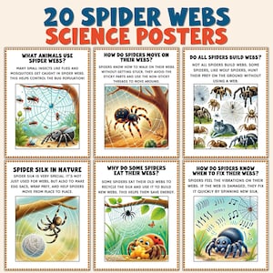 May include: A set of 20 educational science posters about spider webs. Each poster features colorful illustrations and informative text about spiders, their webs, and their behavior. Topics include how spiders move, eat, and repair their webs.