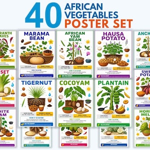 May include: A 40 African Vegetables Poster Set featuring educational illustrations of various plants like Amaranth Leaves, Marama Bean, African Yam Bean, Hausa Potato, Anchote, Enset, Tigernut, Cocoyam, Plantain, Sweet Potato, White Yam, and Horned Melon.