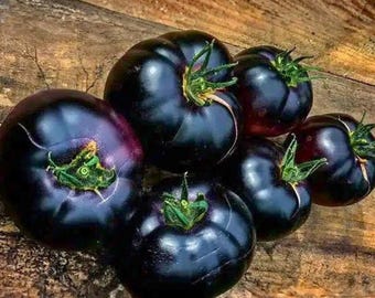 120 Black Beauty Tomato seeds