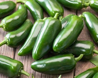 100 Jalapeño Pepper seeds