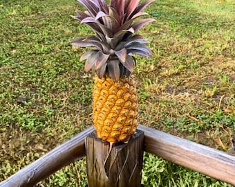 15 semillas de piña negra de Antigua: una rara variedad de fruta tropical para un jardín exótico y dulce.