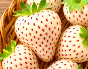 200 White Wonder Strawberry Seeds – Rare Heirloom Perennial – Non-GMO Sweet White Fruit