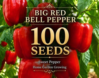 100 Big Red Bell Pepper Seeds, Sweet Red Pepper Seeds, Large Red Bell Pepper, Vegetable Garden Seeds, Container & Raised Bed Growing