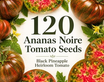 120 Ananas Noire Tomato Seeds, Black Pineapple Heirloom Tomato, Multicolor Beefsteak Tomato Seeds, Rare Garden Vegetable Seeds