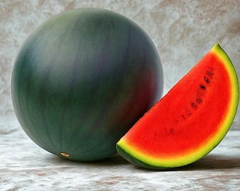 60 Sugar Baby Watermelon Seeds – Classic Round Watermelon for Home Garden – Citrullus Lanatus Seeds