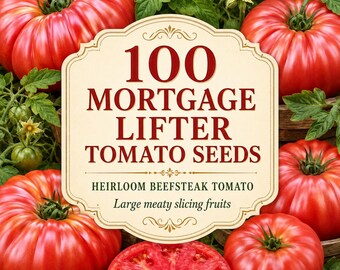 100 Mortgage Lifter Tomato Seeds – Heirloom Beefsteak Tomato, Large Pink-Red Fruits for Home Gardens, Slicing & Vegetable Beds