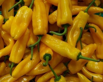 10 semillas de pimiento Aji Lemon Drop / Chile orgánico tradicional