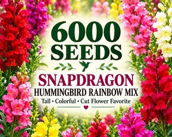 6000 Snapdragon Hummingbird Rainbow Mix Seeds | Tall Colorful Flower Seeds | Cottage Garden Cut Flowers | Pollinator Favorite