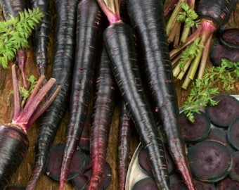 100 Black Nebula Carrot seeds