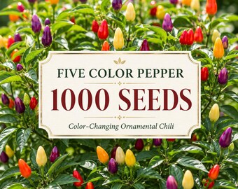 1000 Five Color Pepper Seeds, Ornamental Hot Pepper Seeds, Color Changing Chili Plant, Edible Rainbow Pepper, Container Garden Seeds