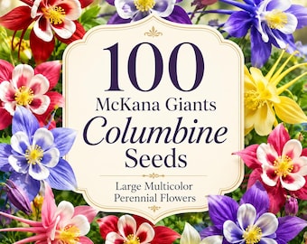 100 McKana Giants Columbine Seeds, Aquilegia Hybrida, Large Multicolor Perennial Flowers, Cottage Garden & Flower Bed Seeds