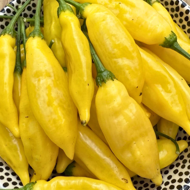 Aji Lemon Drop Pepper