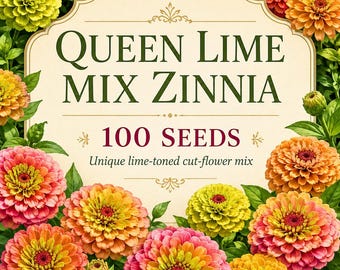 100 Zinniensamen der Sorte „Queen Lime Mix“ – Einzigartige, limettengrüne Zinnienblüten, Schnittblumensamen für Sträuße, Beete, Rabatten und Bauerngärten