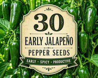 30 Early Jalapeño Pepper Seeds – Heirloom Hot Pepper Seeds for Planting – Early Producing Green & Red Jalapeno – Home Garden Vegetable