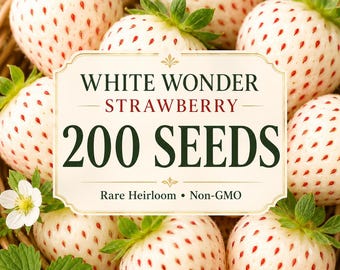 200 White Wonder Strawberry Seeds – Rare Heirloom Perennial, Sweet White Fruit, Non-GMO Garden Seeds