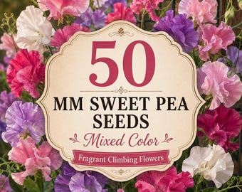 50 Sementes de Ervilha-de-cheiro de Cores Variadas | Sementes de Flores Trepadeiras Perfumadas | Trepadeira Anual Tradicional | Flores para Jardim Campestre | Sementes para Treliças e Flores de Corte