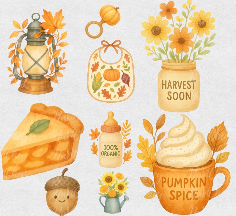 Farmers Market Clipart Bundle – Fall Harvest Vegetables & Pumpkin PNG ...
