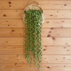 Könnte beinhalten: Ein geflochtener Korb mit Henkel hält eine kaskadierende grüne Häkelpflanze vor einer Wand aus Holzbrettern. Die Stränge der Pflanze bestehen aus kleinen, runden, grünen Häkelperlen, die einen strukturierten, natürlichen Look erzeugen. Der Korb ist rund und hat ein geflochtenes Design.