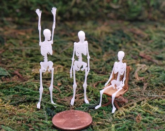 Dollhouse Miniature, 1:48 Skeleton Kits