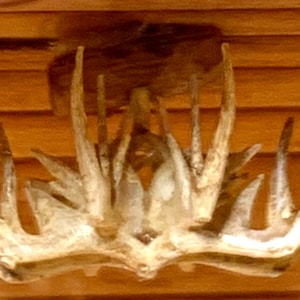 1:12 Antler Chandelier Kit ~ NEW!