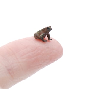 Crunchy Toad Kit ~ Set of 2 ~ NEW!