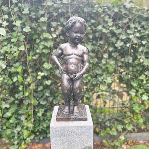 Bronze Manneken Pis Fountain: Vintage Garden Decor (25x20x60 cm)