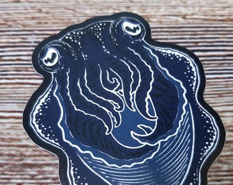 Cuttlefish Vinyl Sticker: Laptop, Water Bottle, Halloween