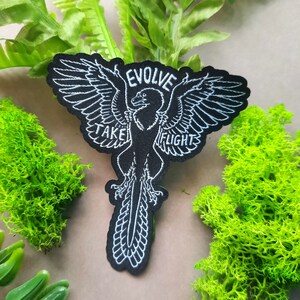 May include: Black embroidered patch with a white outline of a bird with wings spread, the text "Evolve Take Flight" is embroidered in white.