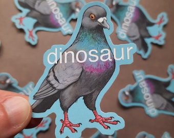 Dinosaur Pigeon, Silly Pigeon Sticker, Funny Bird, Paleontology Meme, Birds are Dinosaurs, Evolution Sticker