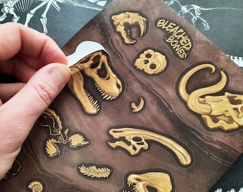 Dinosaur Fossil Sticker Sheet, Paleontology, Fossil Hunting, Laptop Stickers