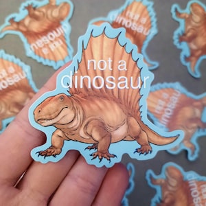 Op de afbeelding: Een sticker met een illustratie van een Dimetrodon in bruin- en oranjetinten, met een blauwe rand. De tekst "not a dinosaur" is in het wit gedrukt. Andere stickers met hetzelfde ontwerp zijn op de achtergrond zichtbaar.