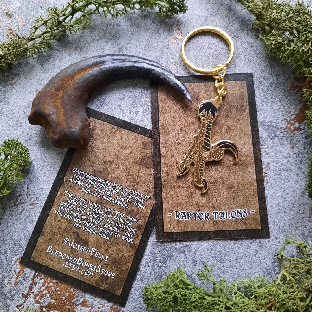 Raptor Claw, Realistic Dinosaur Keyring, Creepy Oddities, Velociraptor ...