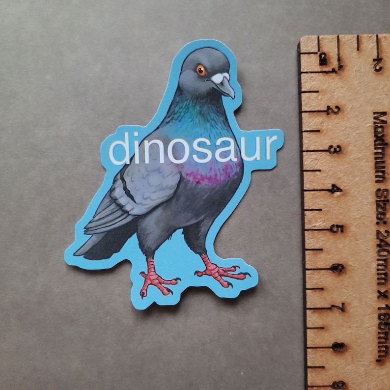 以下が含まれることがあります： 青い灰色鳩のステッカー。青い背景に白い文字で「dinosaur」と書いてあります。鳩は右を向いており、目の周りに白い輪があります。