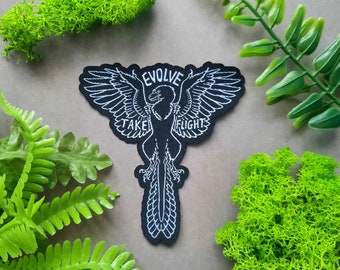 Archaeopteryx Feathered Dinosaur Patches for Jackets, Evolve Take Flight, Natural History Paleoart, Adult Dinosaur Lover, Science Gifts