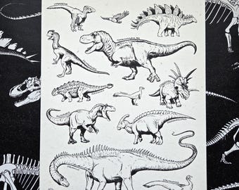 Dinosaurs of North America Small Art Print, Paleoart, Natural History Illustration, Paleontology Gifts, Dinosaurs for Adults