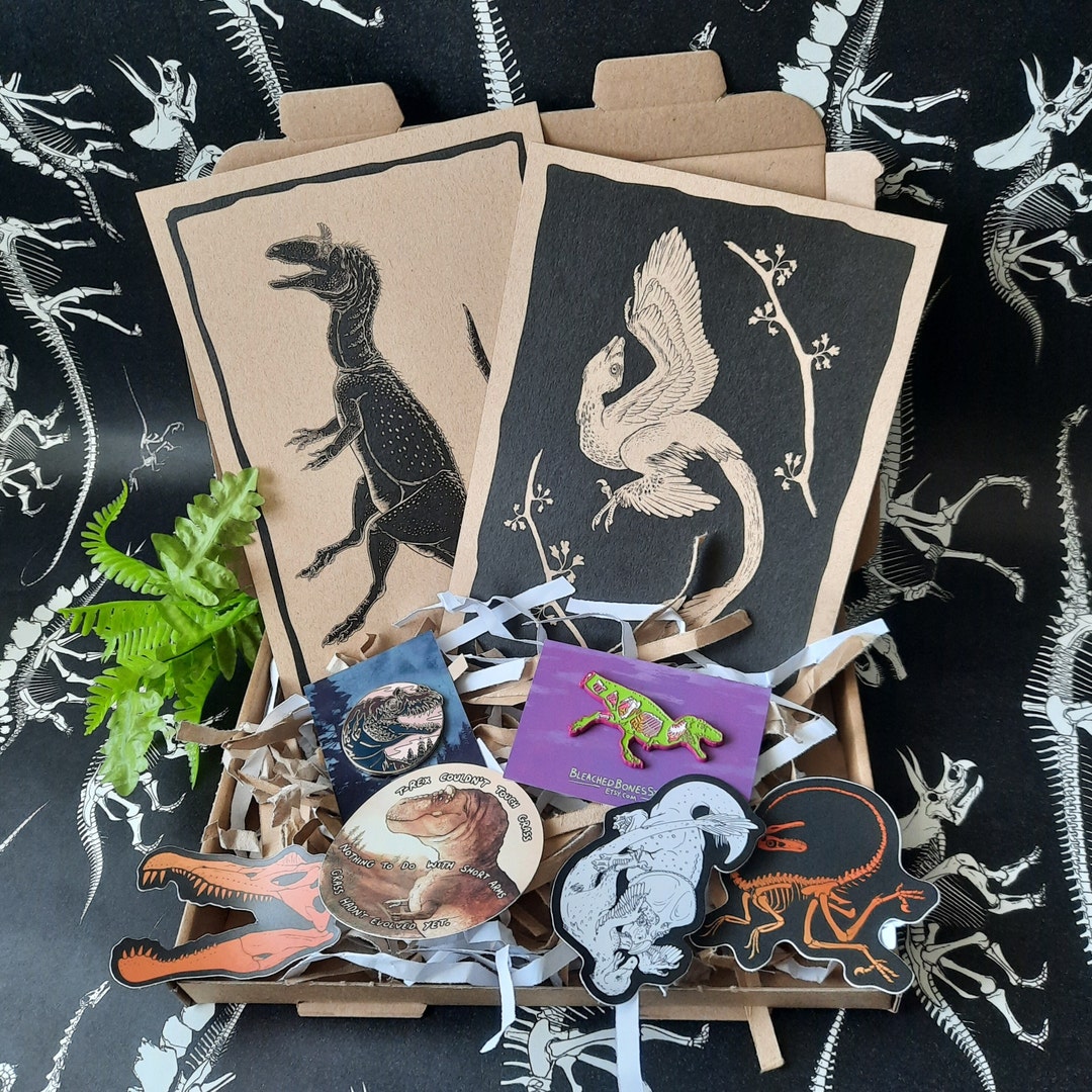 Dinosaur Mystery Box for Adults, Paleontology Gift Set for Dinosaur ...