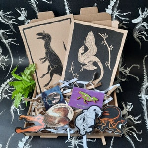 Dinosaur Mystery Box for Adults, Paleontology Gift Set for Dinosaur Lovers, Dinosaur Stickers, Dinosaur Enamel Pin Badge, Natural History