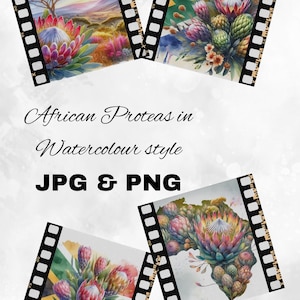 Watercolour African Proteas Digital Pictures