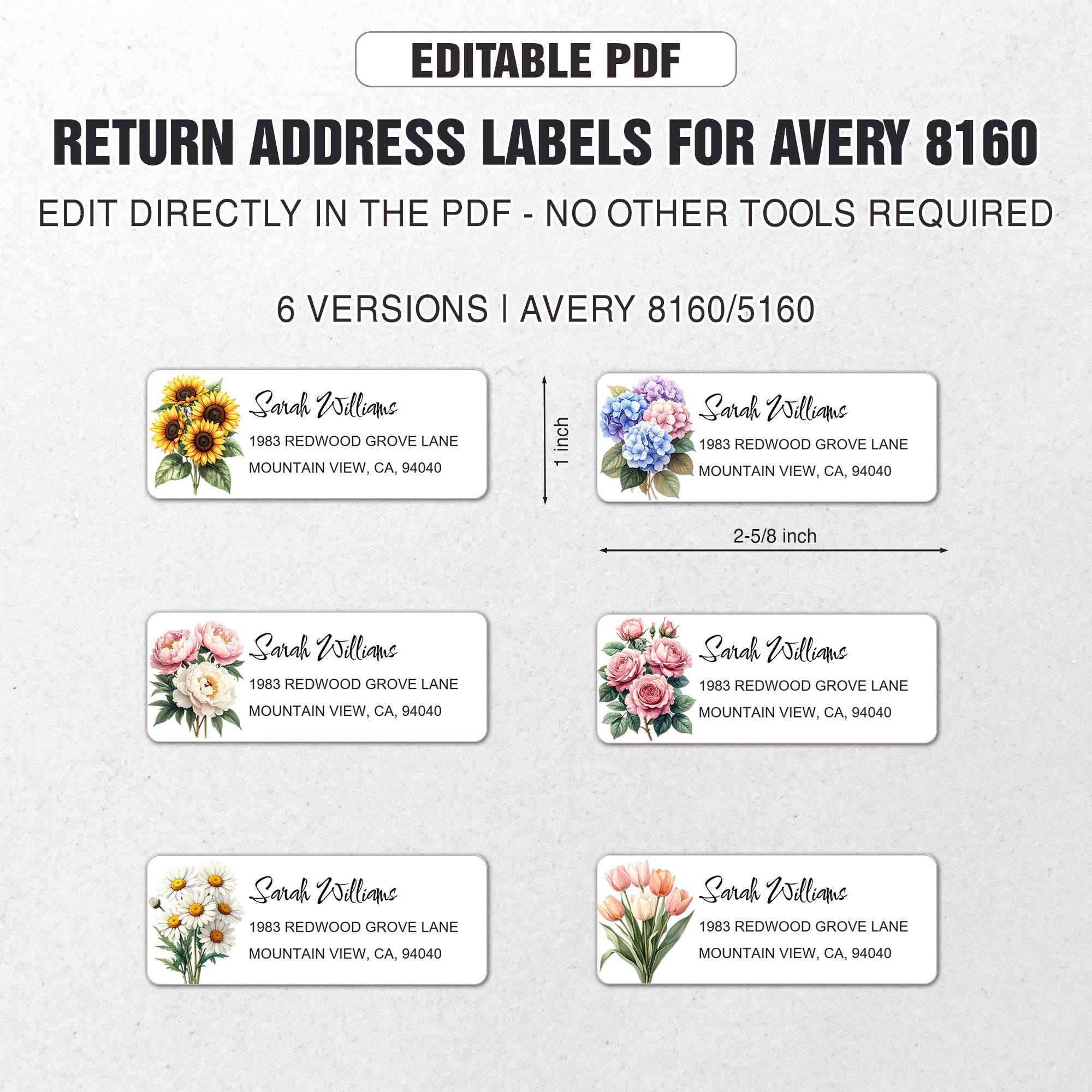 Avery 8160 Label Template Download Templates Mzgymzg Resume Examples