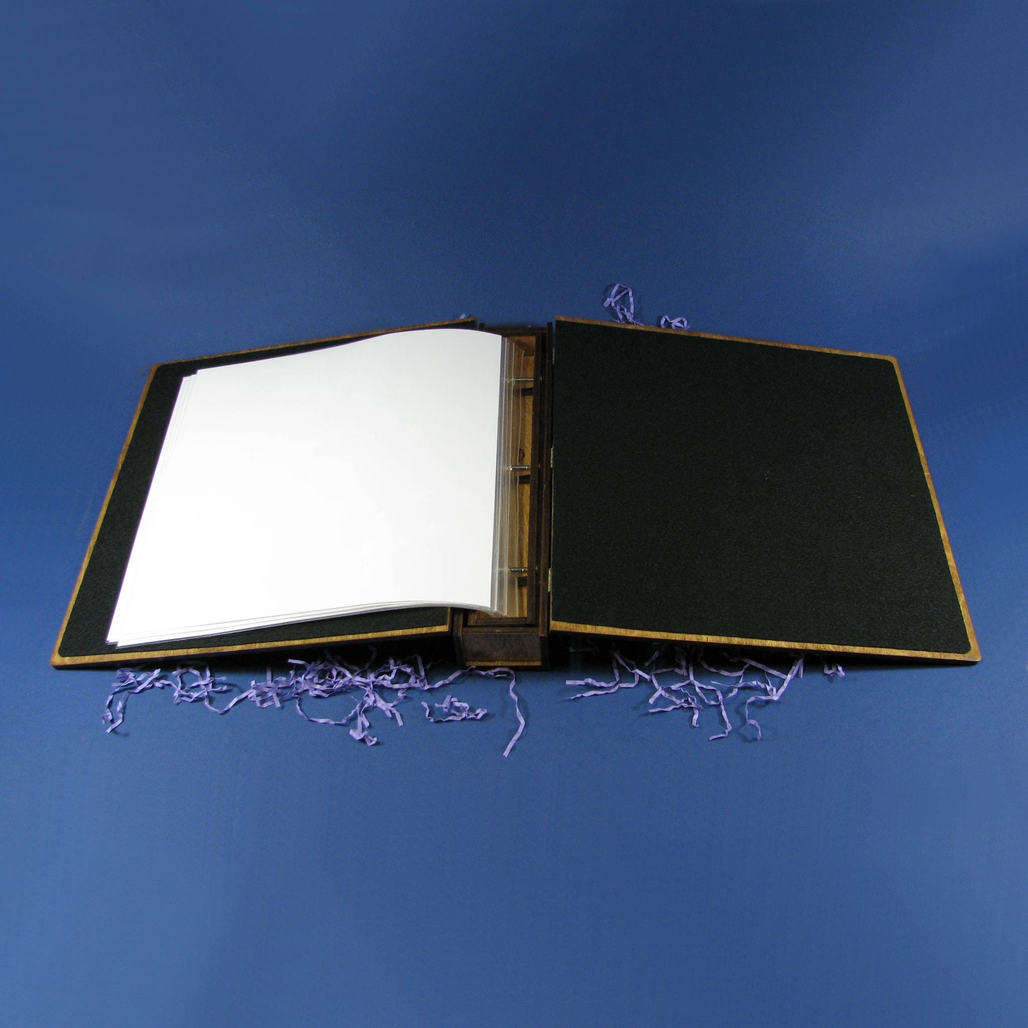 Photo Album or Scrapbook 12X12