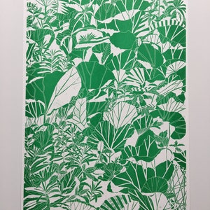 A3 Plant riso print