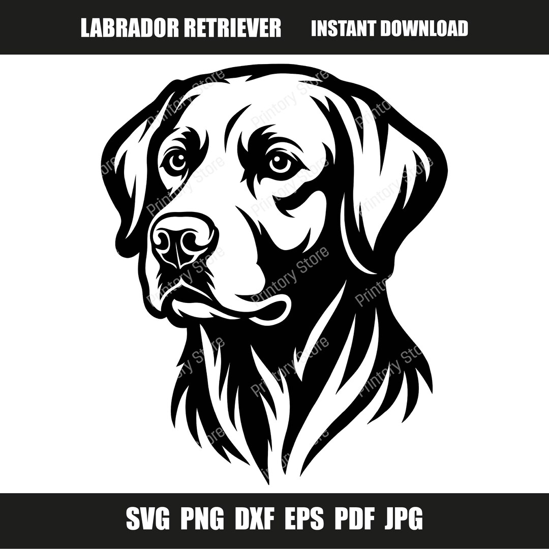 Labrador Retriever SVG, Labrador Dog Svg, Lab Dog Face Cut File, Dog ...