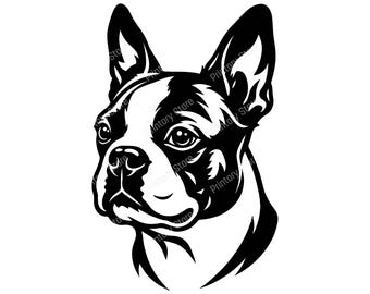 Boston Terrier SVG Cut File, Cricut SVG and Silhouette SVG, Vinyl Decal Sticker, Png, Dxf, Instant Download