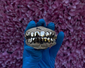 May include: A dental mould featuring a set of gleaming gold teeth. The teeth are held by a gloved hand against a backdrop of pink flowers.