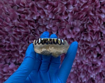 Grillz de plata 925 personalizado con 8 dientes en la parte superior o inferior