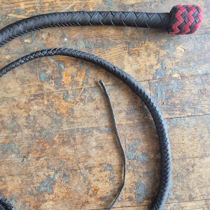 14 Plait Snake Whip