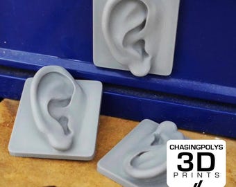 3D Printed Ear Magnet, Quirky Home Decor