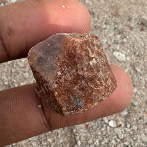 May include: A rough, reddish-brown gemstone with a textured surface. The stone is held between fingers, showcasing its natural, unpolished appearance. The gem has a slightly darker area on one side.