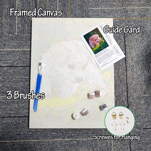 May include: A paint-by-numbers kit featuring a framed canvas with a dog outline, three blue-handled paint brushes, small paint pots, a guide card, and screws for hanging. The canvas is labeled "Framed Canvas".